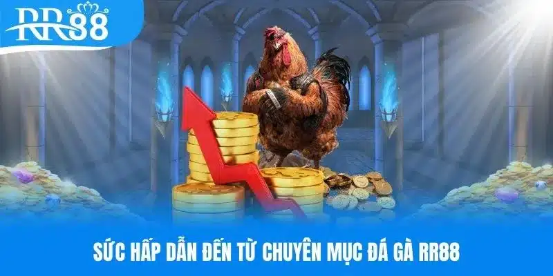 Ưu điểm làm nên thành công cho chuyên mục đá gà RR88